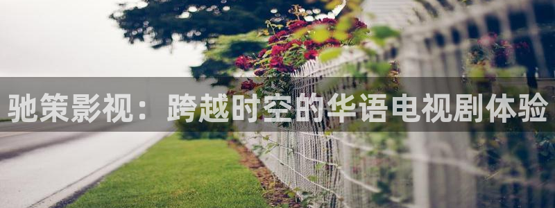 超碰在线个人免费：驰策影视：跨越时空的华语电视剧体验