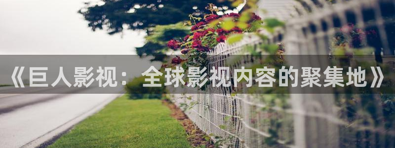 成人免费超碰
