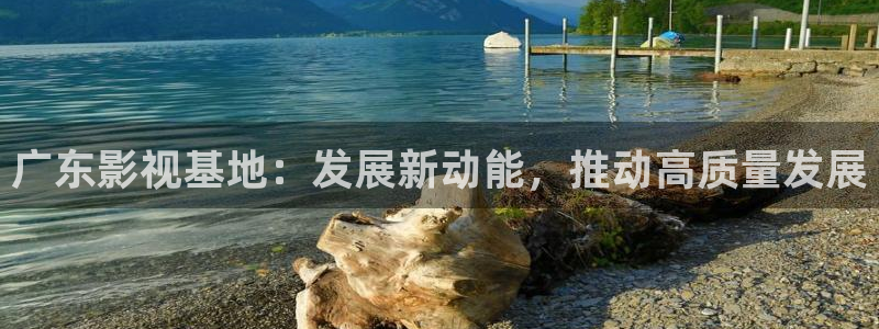 98超碰：广东影视基地：发展新动能，推动高质量发展