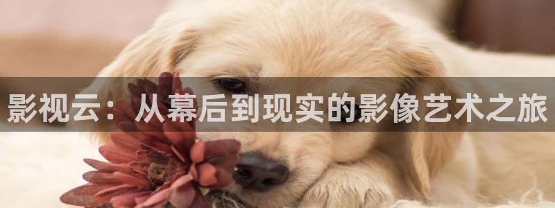 超碰在线操：影视云：从幕后到现实的影像艺术之旅