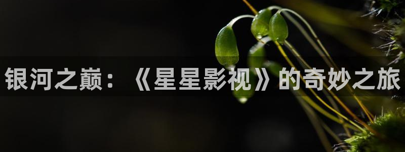 97资源超碰在线观看